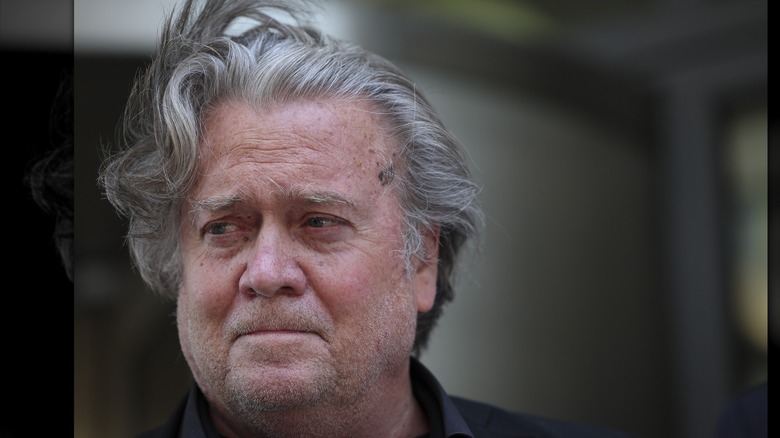 Steve Bannon gray hair stubble