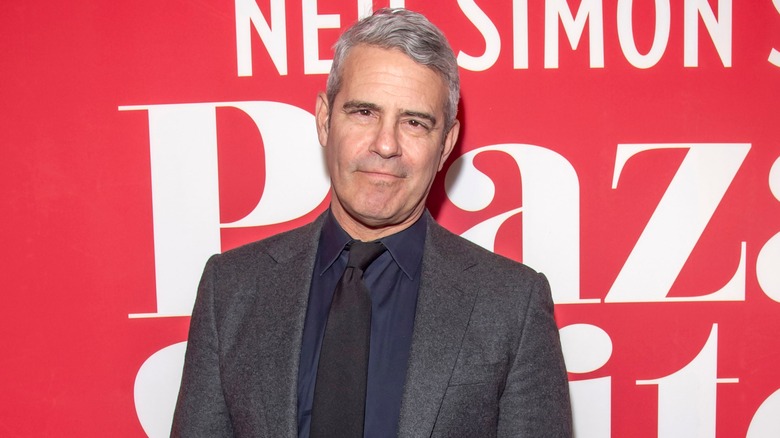 Andy Cohen posing