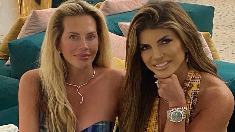  Teresa Giudice and Dina Manzo posing together