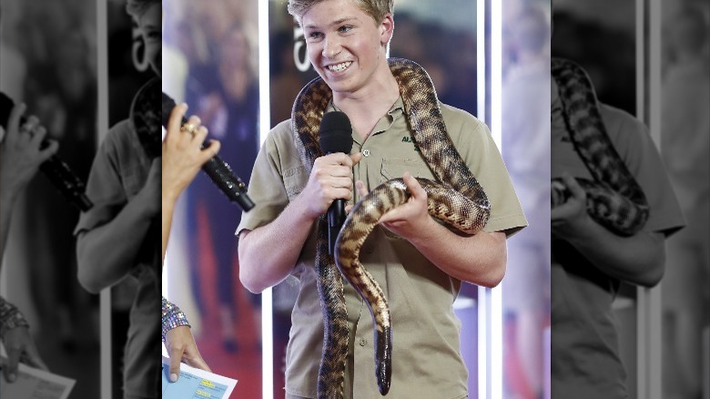 Robert Irwin holding constrictor snake