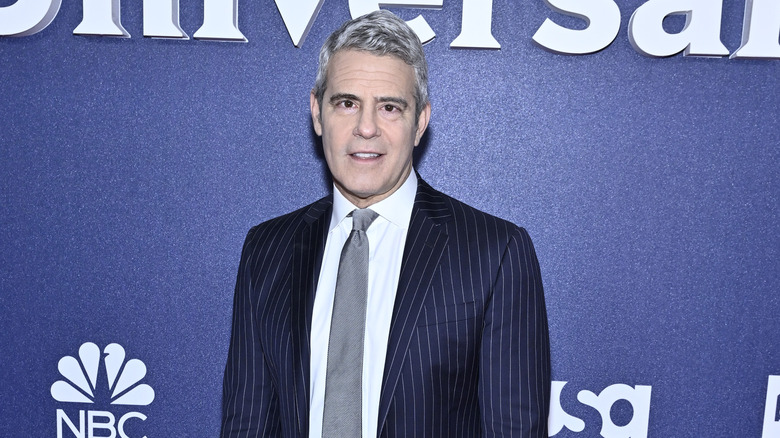 Andy Cohen wearing a pinstriped suit