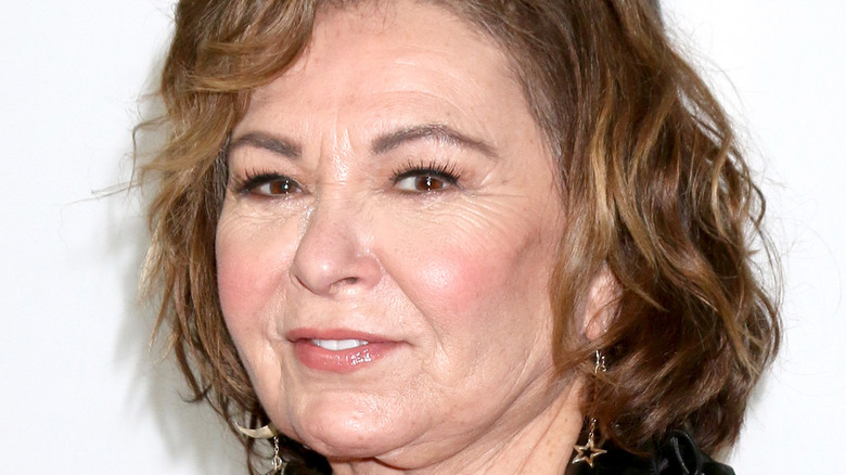 Roseanne Barr giving a small smile