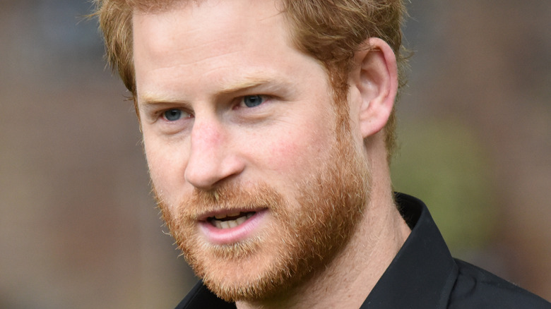 Prince Harry posing