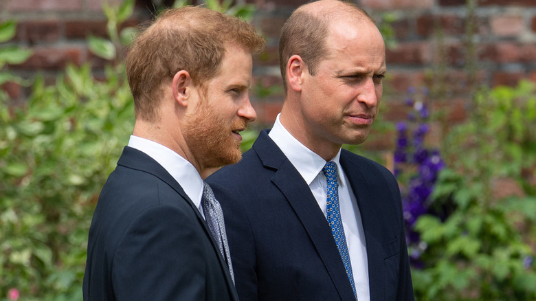 Prince Harry and Prince William