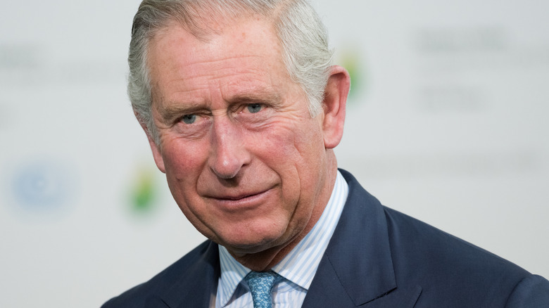 Prince Charles posing 