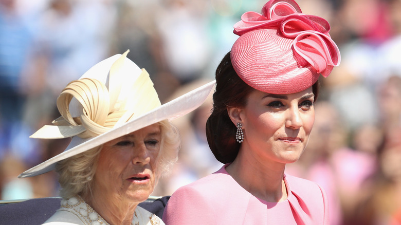 Camilla and Catherine at an event 