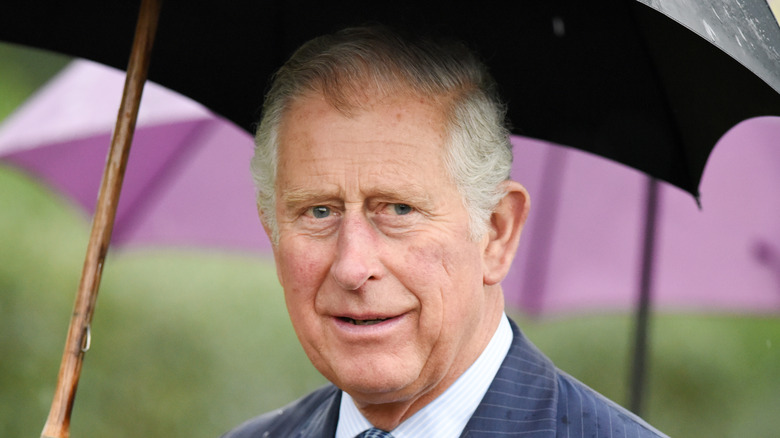 Prince Charles smiling underneath an umbrella