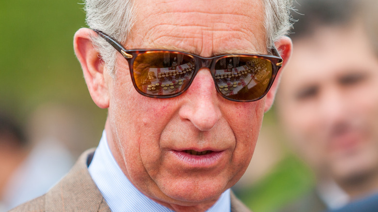 Prince Charles in 2008