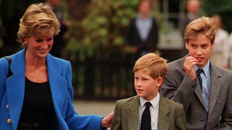 Princess Diana walking with her sons 