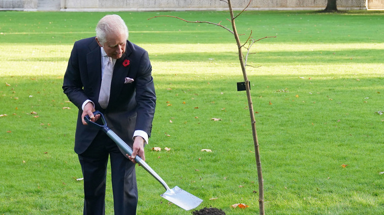 King Charles planting a tree