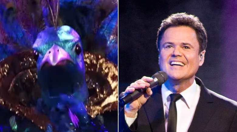 The Peacock, Donny Osmond