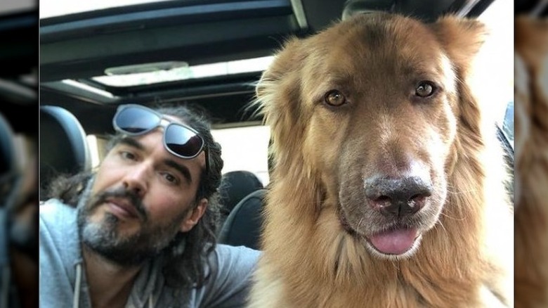 Russell Brand next to his dog Bear