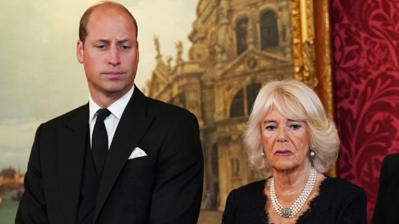 Prince William and Camilla Parker Bowles looking distressed