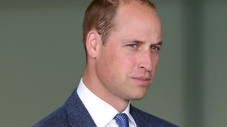 Prince William posing
