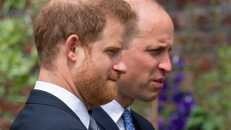 Harry and William at Diana's statue revealing