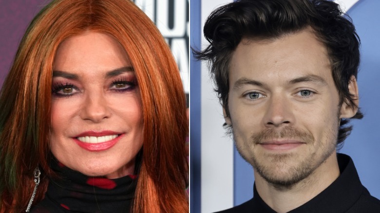 Shania Twain and Harry Styles smile