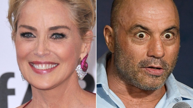 Sharon Stone and Joe Rogan