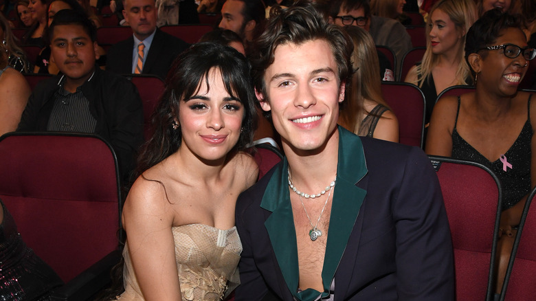 Camila Cabello, Shawn Mendes seated in crowd