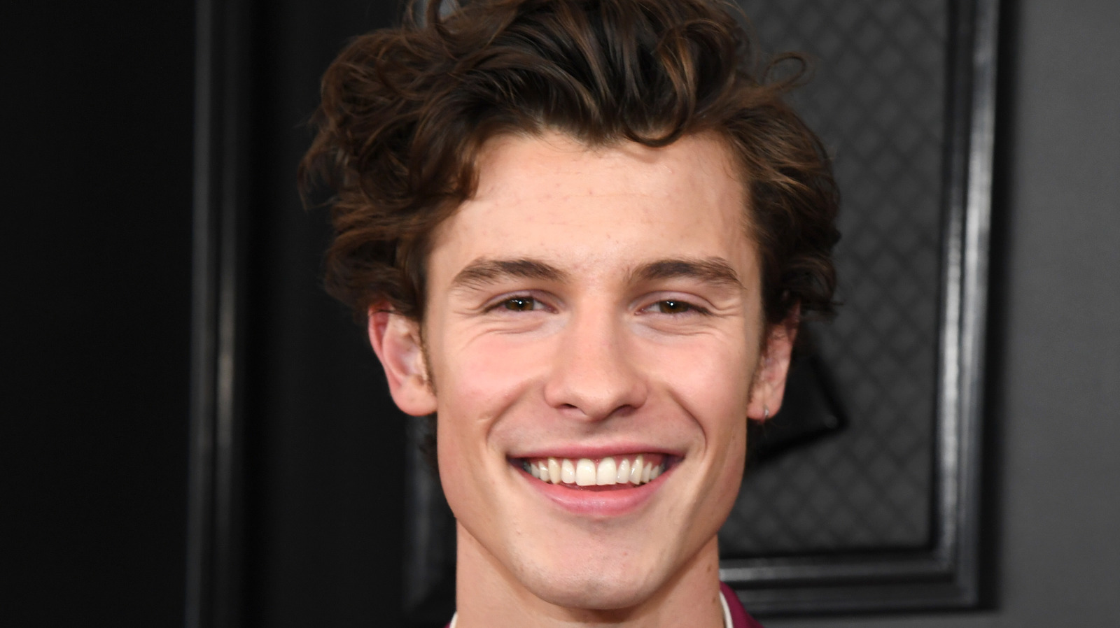 Shawn Mendes Reveals Relatable Reason His Life Will Never Be The Same 3794