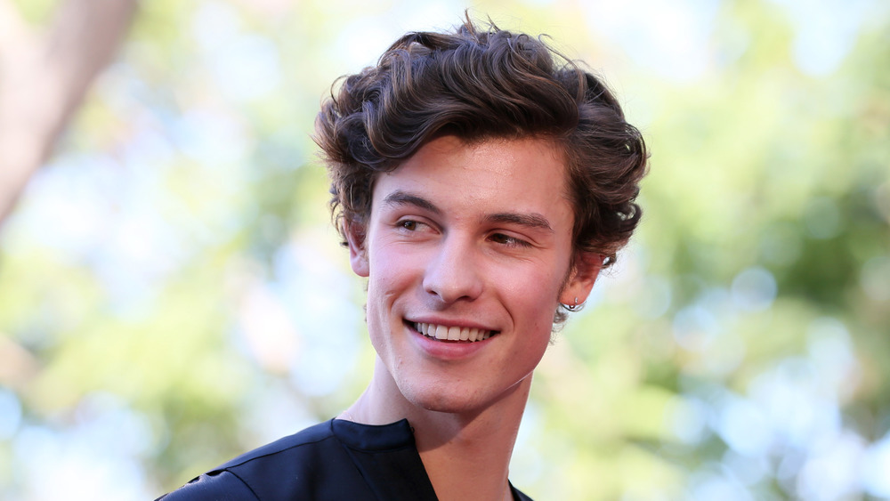 Shawn Mendes smiling and looking to his right