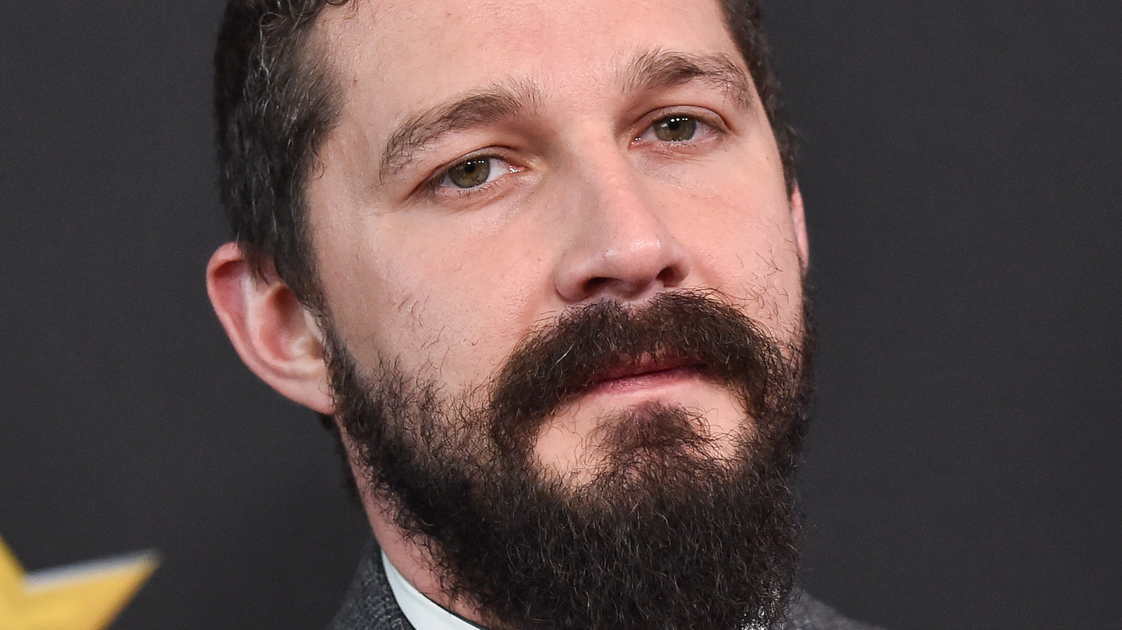 Shia LaBeouf's Legal Drama Just Got Even More Real - News Colony