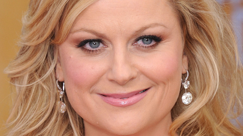 Amy Poehler on red carpet