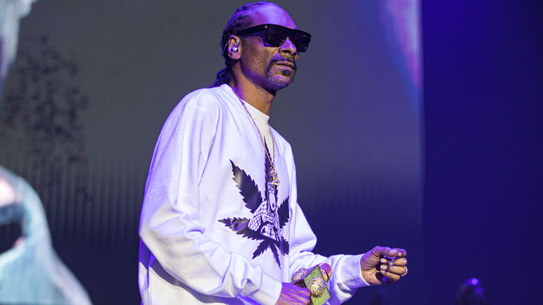  Snoop Dogg of Mount Westmore performs on stage at Pechanga Arena 