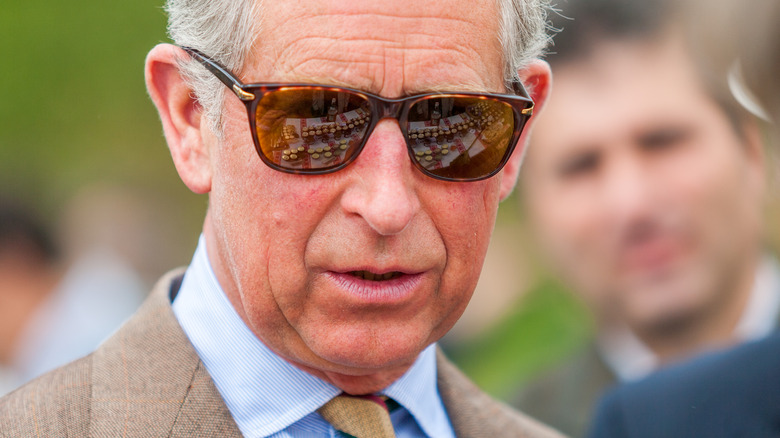 Prince Charles posing