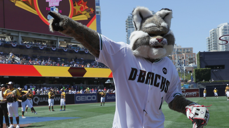 Baxter the Bobcat pointing