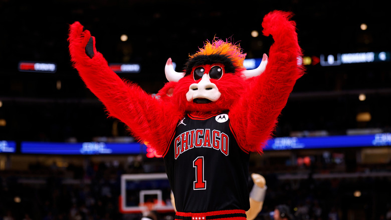 Benny the Bull raising arms