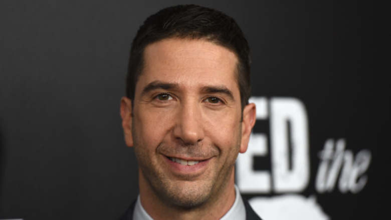 David Schwimmer smiling