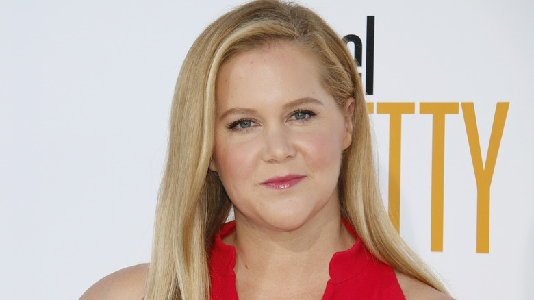 Amy Schumer wearing red