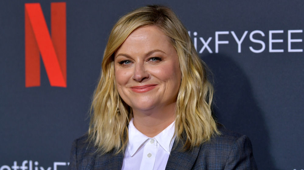 Amy Poehler grinning