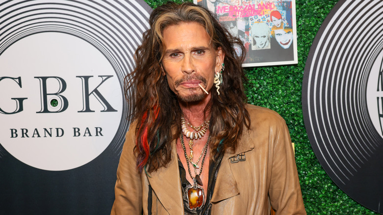 Steven Tyler posing