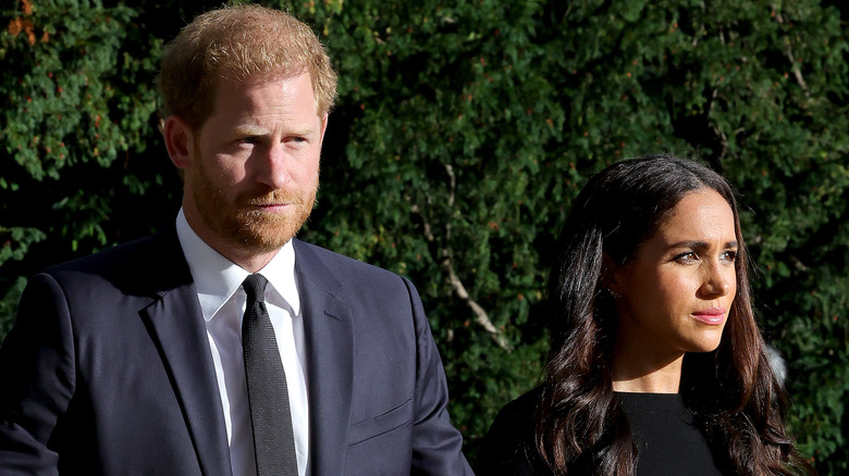 Prince Harry and Meghan Markle at the funeral of Queen Elizabeth II