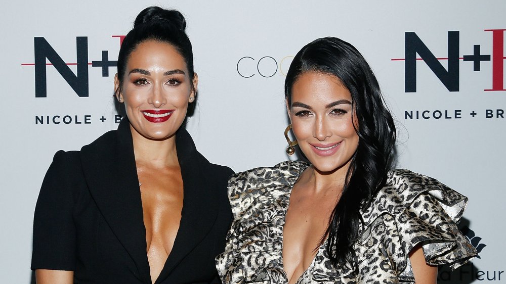 Nikki Bella and Brie Bella