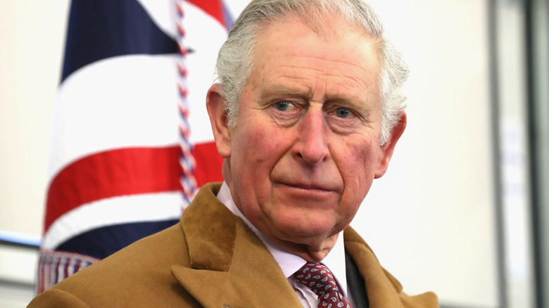 Prince Charles posing 