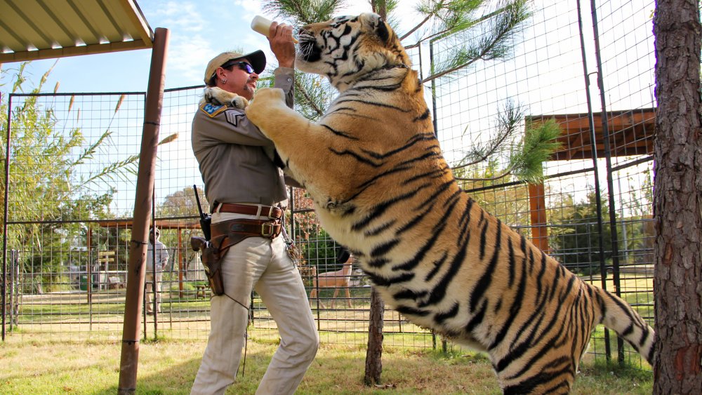 Joe Exotic of 'Tiger King'