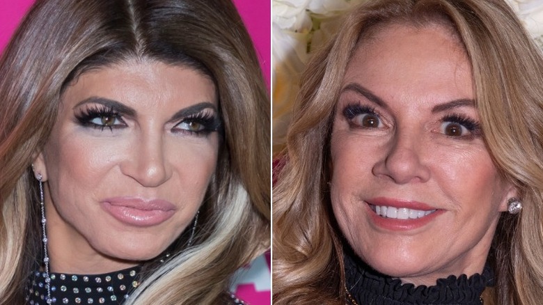 Teresa Giudice and Ramona Singer smiling