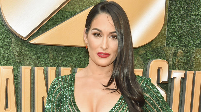 Nikki Bella posing