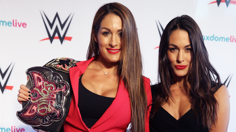 The Bella Twins posing