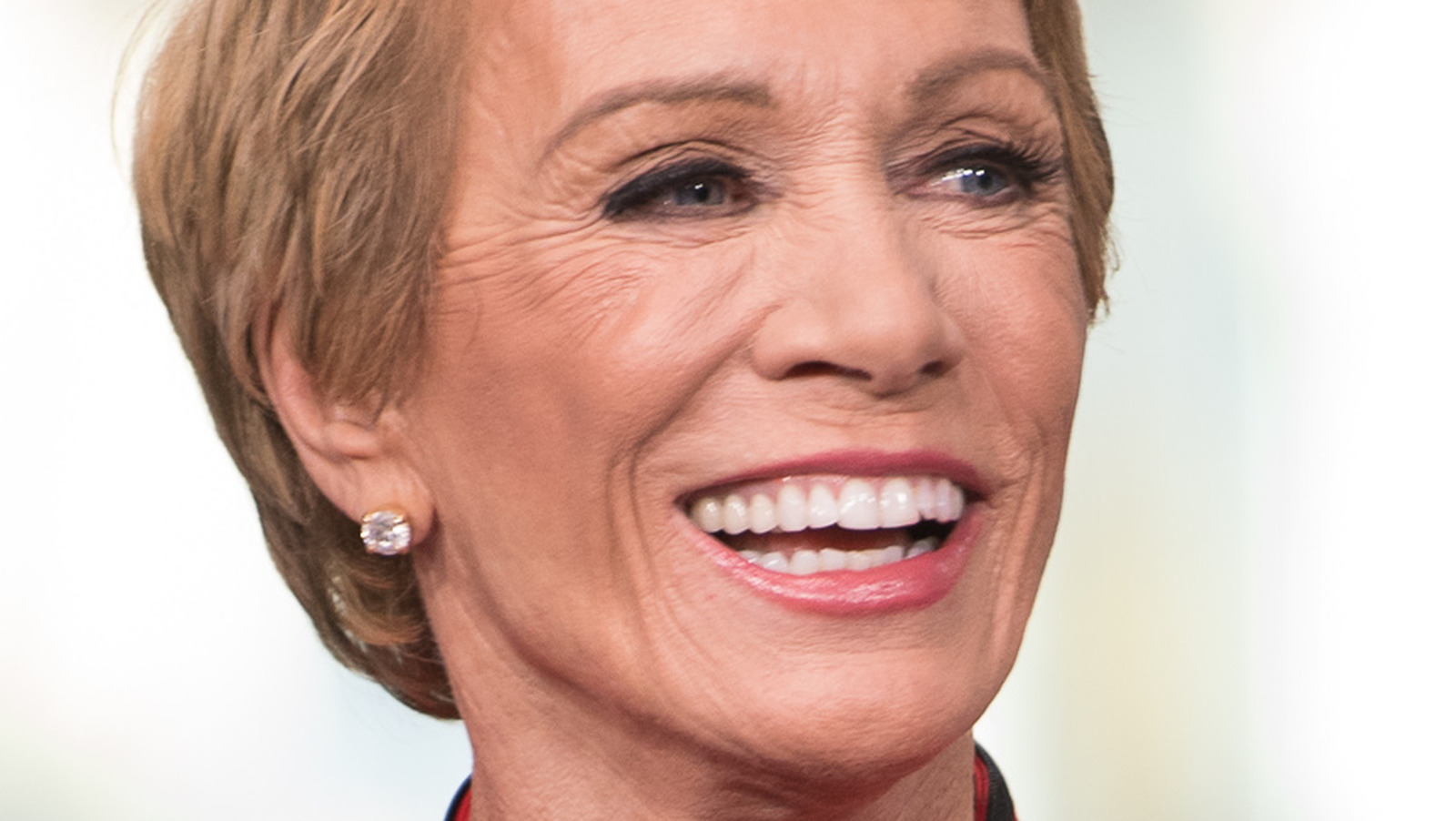 The barbara. Barbara Corcoran. Катрин Коркоран.