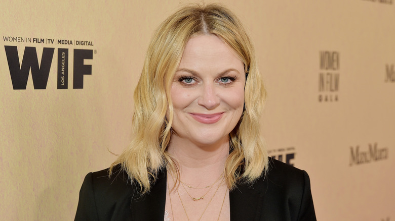 Amy Poehler smiling at an event