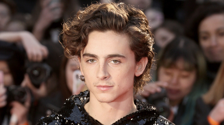 Timothee Chalamet on the red carpet.