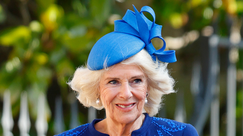 The Biggest Camilla Parker Bowles Rumors Through The Years