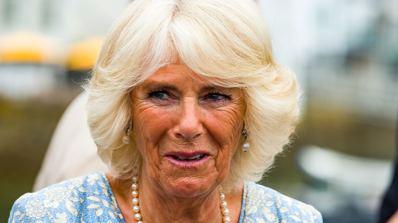 Camilla Parker Bowles smiling