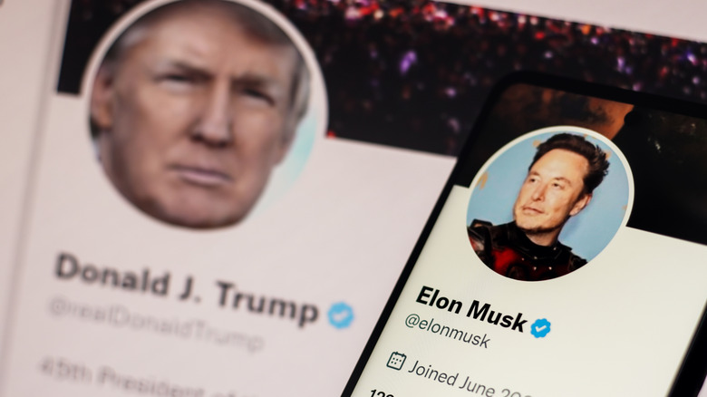 Screenshot of Donald Trump and Elon Musk's Twitter accounts