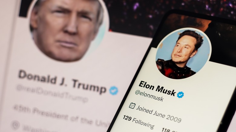 Screenshot of Donald Trump and Elon Musk's Twitter accounts