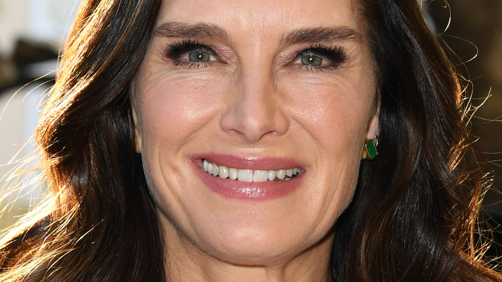 The Complicated Relationship Brooke Shields Had With Her Mother 3733