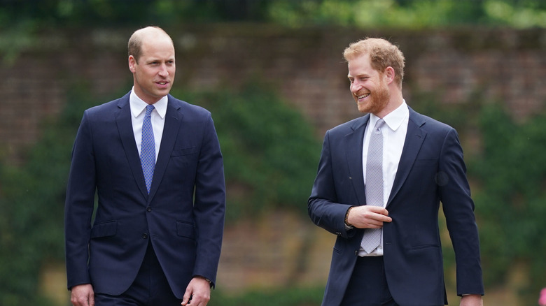 Princes William and Harry walking